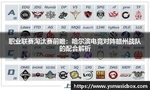 3003新葡的京集团网址